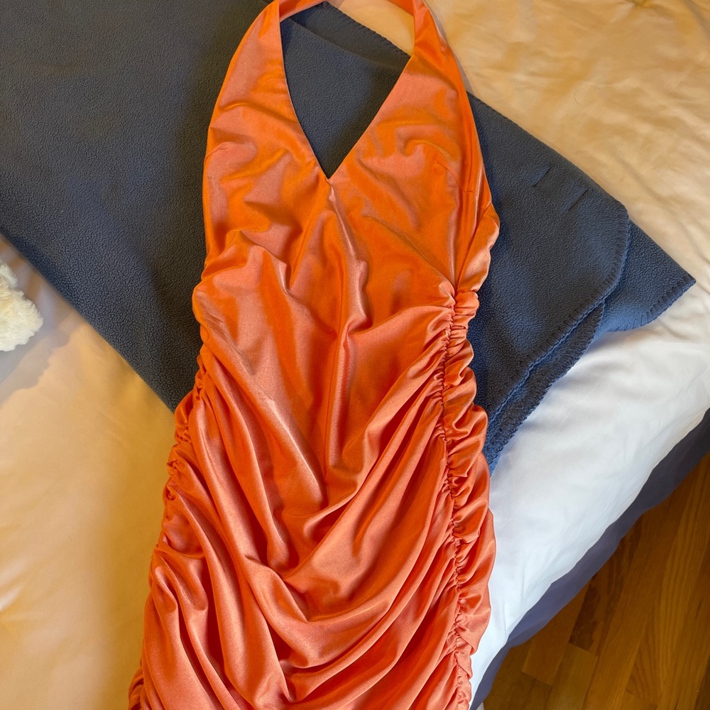 tiger mist - Picture 2 of 5